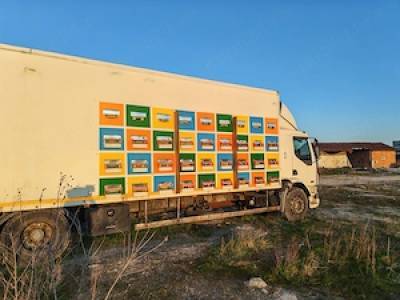 Camion apicol DAF 55250