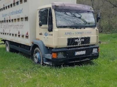 Camion apicol Man 13 224