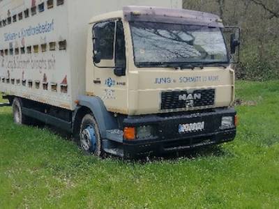 Camion apicol Man 13 224