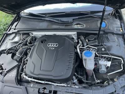 Audi aulroad
