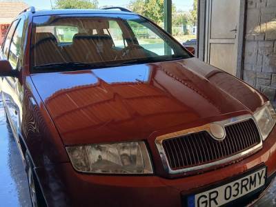Vand Skoda Fabia