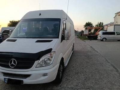 sprinter 319