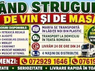 vînd struguri