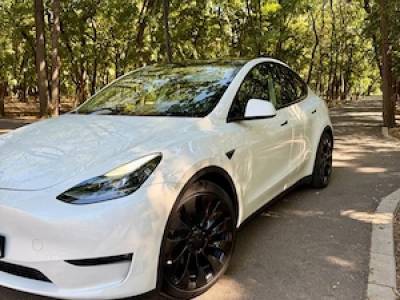 Tesla Model Y Performance
