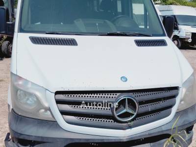Mercedes-Benz Sprinter 519
